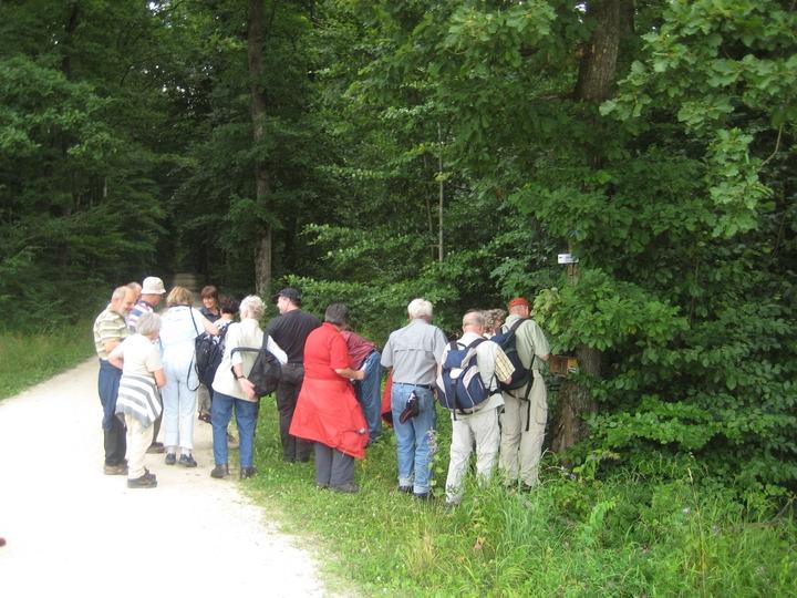 jakobusweg_038