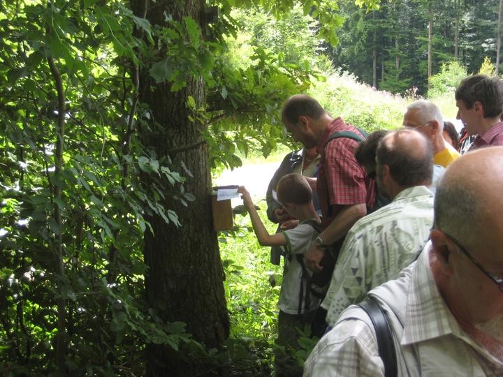 jakobusweg_045