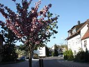 eislingen