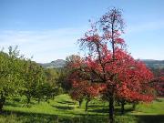 eislingen