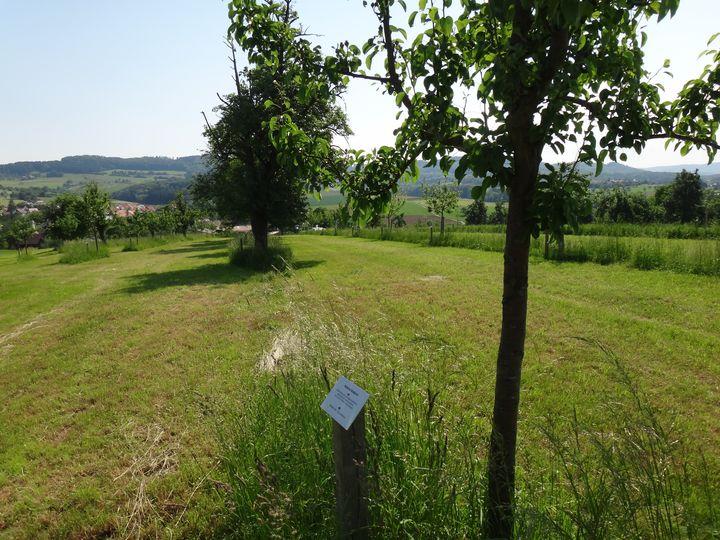 Eislingen