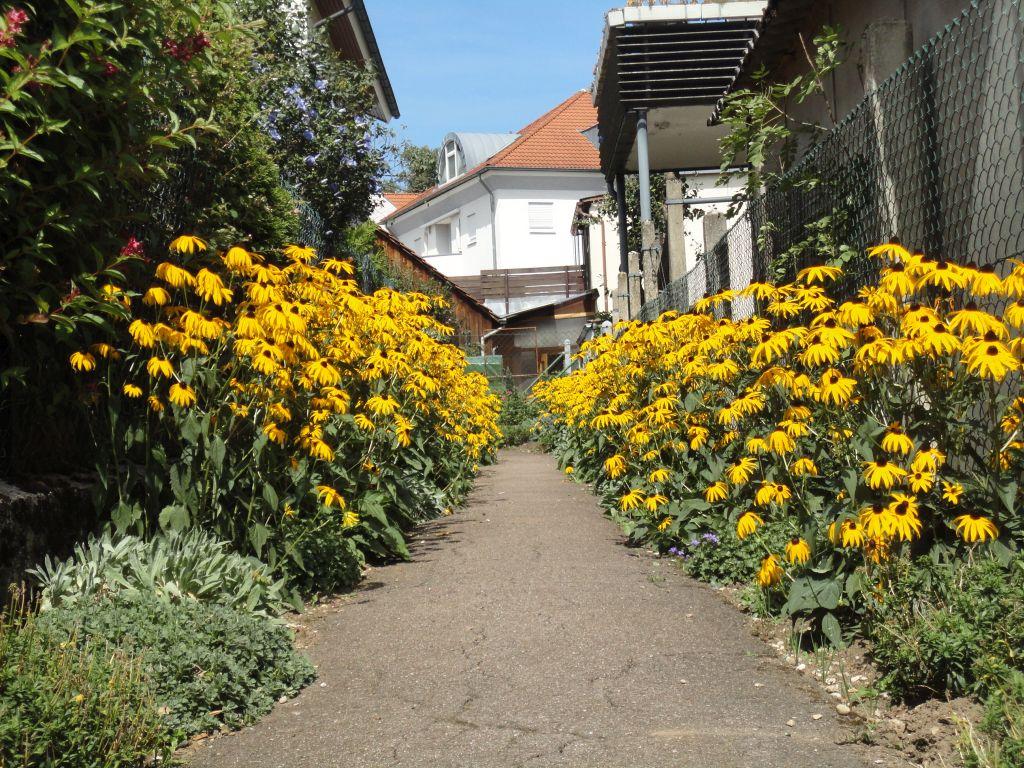 Eislingen