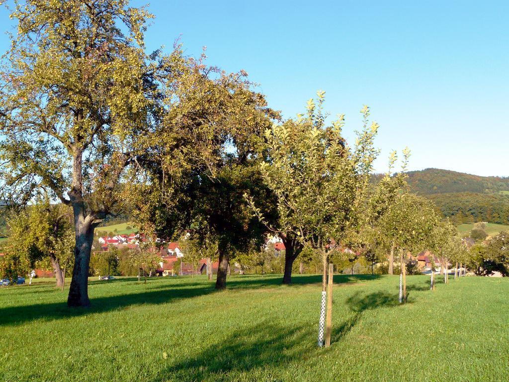 Eislingen