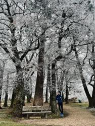 Eislingen - Läufer*in